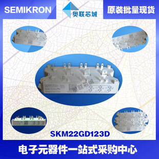 SKM22GD124D 功率西门康可控硅模块,现货直销!