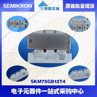 SKM75GB12T4 功率西门康可控硅模块,现货直销!