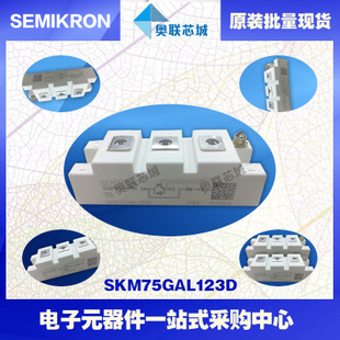 SKM75GAL123D 功率西门康可控硅模块,现货直销!