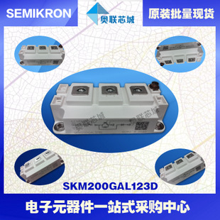 SKM200GAL123D 功率西门康可控硅模块,现货直销!