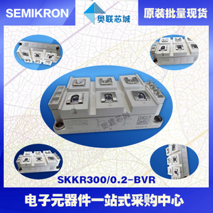 SKKR300/0.2-BVR 功率西门康可控硅模块,现货直销!