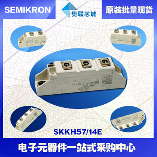 SKKH58/16E 功率西门康可控硅模块,现货直销!
