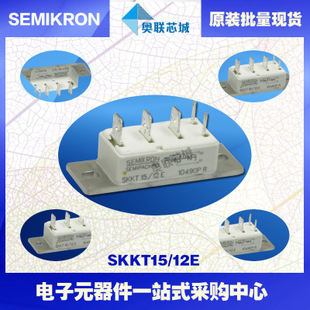 SKKT15/08E 功率西门康可控硅模块,现货直销!