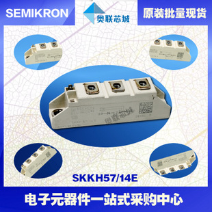 SKKH56/16E 功率西门康可控硅模块,现货直销!
