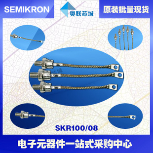 全新原装功率平板晶闸管模块SKR100/16 特价热卖！
