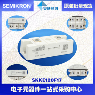 全新原装功率二极管模块SKKE120F17大批量,现货