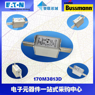 特价，原装BUSSMANN快速熔断器170M3813现货,热卖!