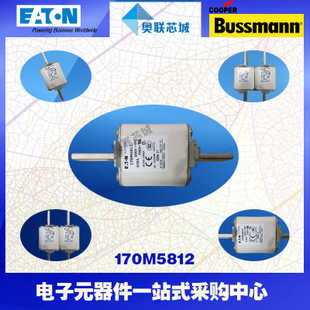 特价，原装BUSSMANN快速熔断器170M5812现货,热卖!