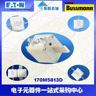 特价，原装BUSSMANN快速熔断器170M5813现货,热卖!