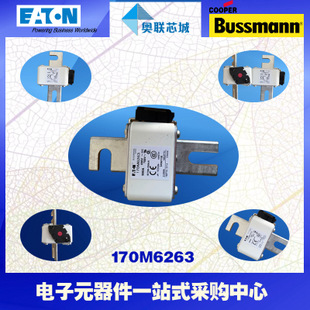 特价，原装BUSSMANN快速熔断器170M6304现货,热卖!