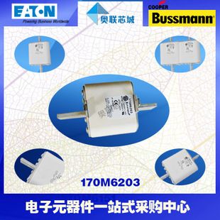 特价，原装BUSSMANN快速熔断器170M6203现货,热卖!