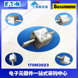 特价，原装BUSSMANN快速熔断器170M3058现货,热卖!