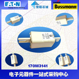 特价，原装BUSSMANN快速熔断器170M3060现货,热卖!