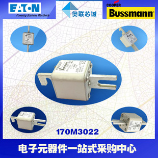 特价，原装BUSSMANN快速熔断器170M3062现货,热卖!