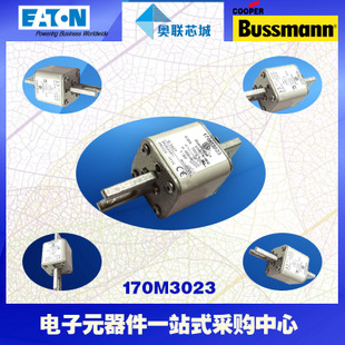 特价，原装BUSSMANN快速熔断器170M3063现货,热卖!