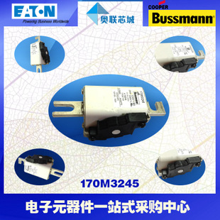 特价，原装BUSSMANN快速熔断器170M3263现货,热卖!