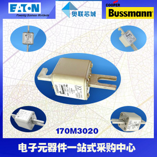 特价，原装BUSSMANN快速熔断器170M3270现货,热卖!