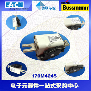 特价，原装BUSSMANN快速熔断器170M4258现货,热卖!