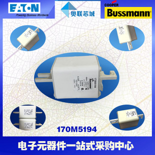 特价，原装BUSSMANN快速熔断器170M5260现货,热卖!