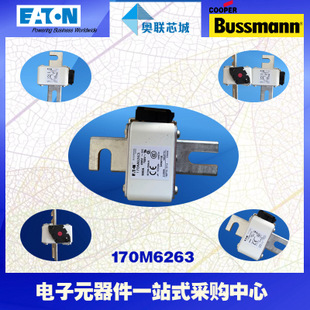 特价，原装BUSSMANN快速熔断器170M6260现货,热卖!