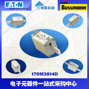 特价，原装BUSSMANN快速熔断器170M3984现货,热卖!