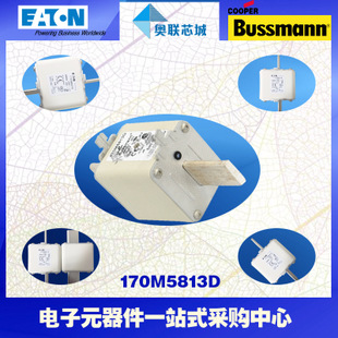 特价，原装BUSSMANN快速熔断器170M5988现货,热卖!