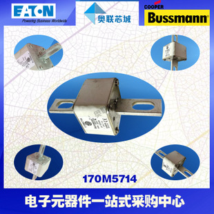特价，原装BUSSMANN快速熔断器170M5987现货,热卖!