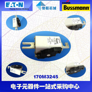 特价，原装BUSSMANN快速熔断器170M3198现货,热卖!
