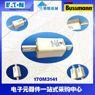 特价，原装BUSSMANN快速熔断器170M3161现货,热卖!