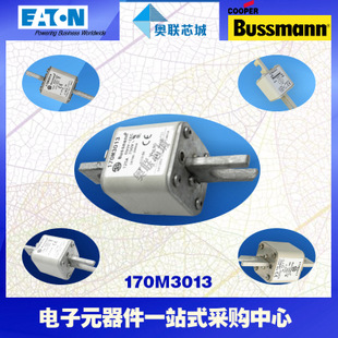 特价，原装BUSSMANN快速熔断器170M3012现货,热卖!