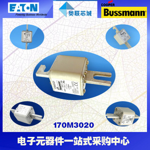 特价，原装BUSSMANN快速熔断器170M3120现货,热卖!