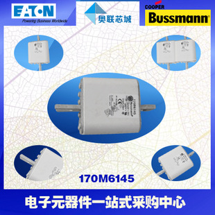 特价，原装BUSSMANN快速熔断器170M6115现货,热卖!