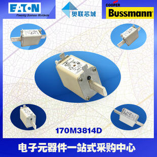 特价，原装BUSSMANN快速熔断器170M3814现货,热卖!