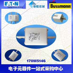 特价，原装BUSSMANN快速熔断器170M5246现货,热卖!