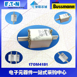 特价，原装BUSSMANN快速熔断器170M4191现货,热卖!