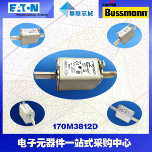 特价，原装BUSSMANN快速熔断器170M3812现货,热卖!