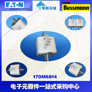 特价，原装BUSSMANN快速熔断器170M6810现货,热卖!