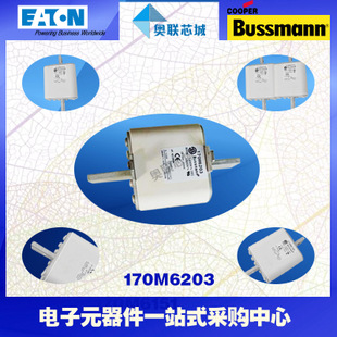 特价，原装BUSSMANN快速熔断器170M6204现货,热卖!