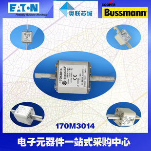 特价，原装BUSSMANN快速熔断器170M3064现货,热卖!