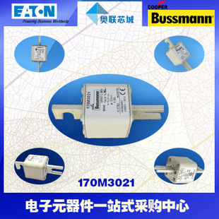 特价，原装BUSSMANN快速熔断器170M3271现货,热卖!