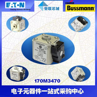 特价，原装BUSSMANN快速熔断器170M3160现货,热卖!