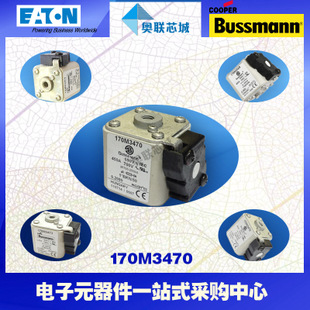 特价，原装BUSSMANN快速熔断器170M3210现货,热卖!