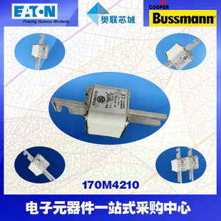 特价，原装BUSSMANN快速熔断器170M4215现货,热卖!