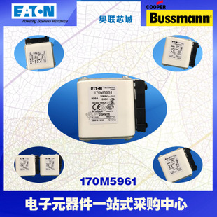 特价，原装BUSSMANN快速熔断器170M5953现货,热卖!