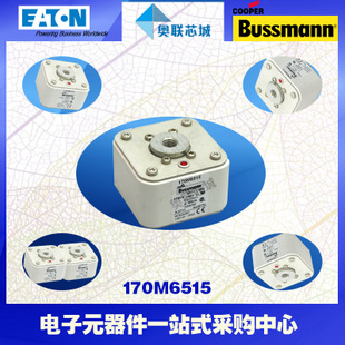 特价，原装BUSSMANN快速熔断器170M6517现货,热卖!