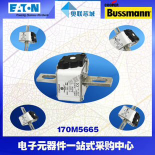 特价，原装BUSSMANN快速熔断器170M5565现货,热卖!