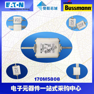 特价，原装BUSSMANN快速熔断器170M5959现货,热卖!