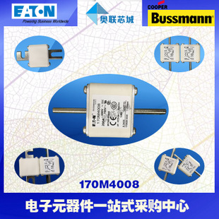 特价，原装BUSSMANN快速熔断器170M3929现货,热卖!