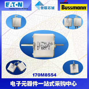 特价，原装BUSSMANN快速熔断器170M8607现货,热卖!