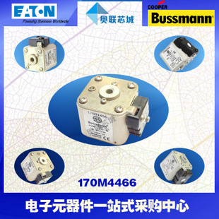 特价，原装BUSSMANN快速熔断器170M4491现货,热卖!